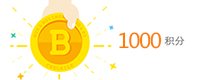 1000积分